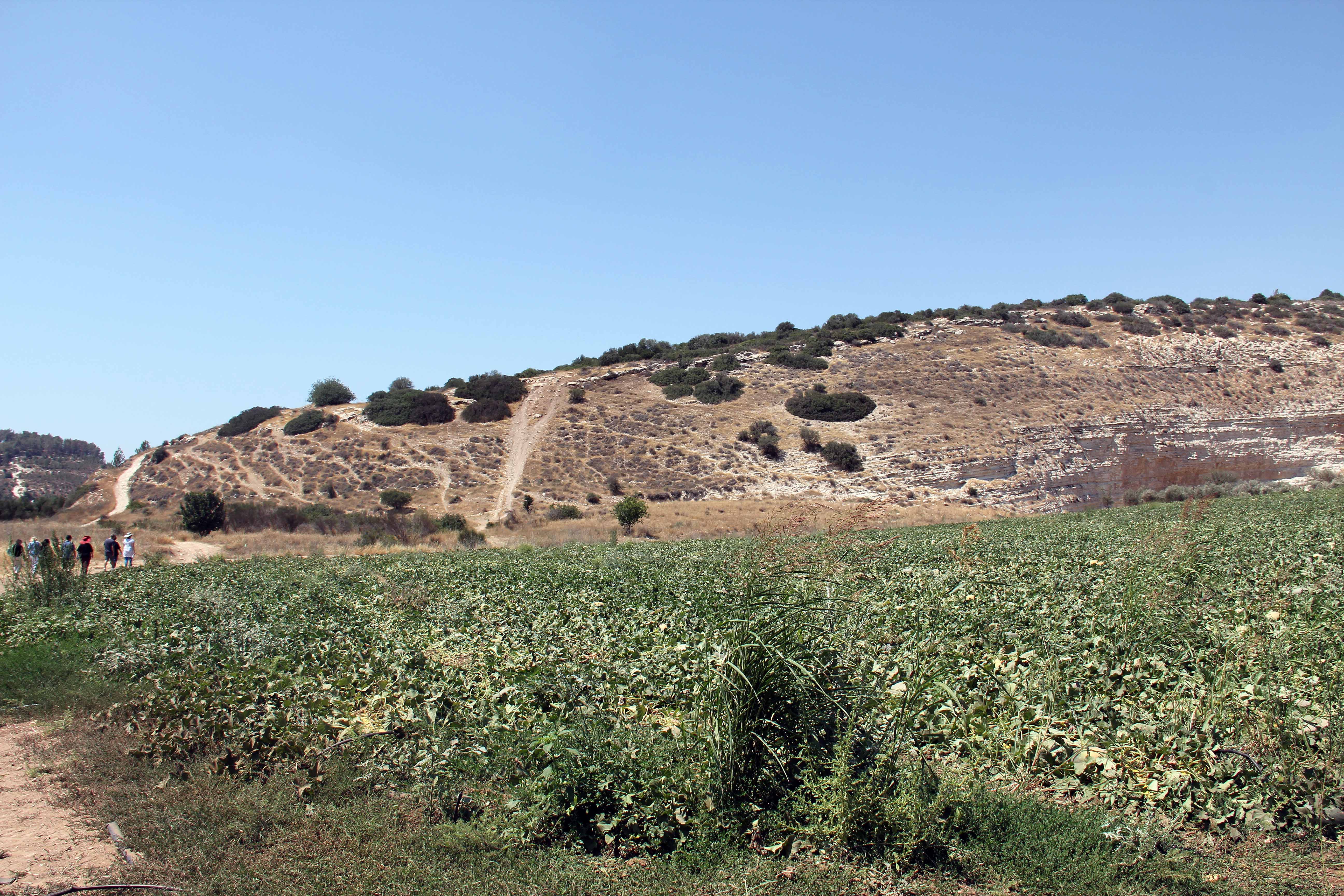 David and Goliath image 1